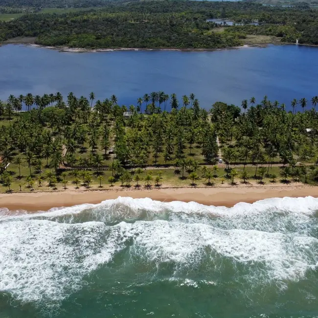 Foto 1 de Terreno / Lote à venda, 12867m2 em Marau - BA