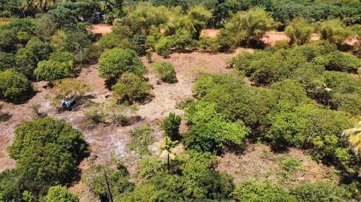 Foto 2 de Terreno / Lote à venda, 10000m2 em Marau - BA