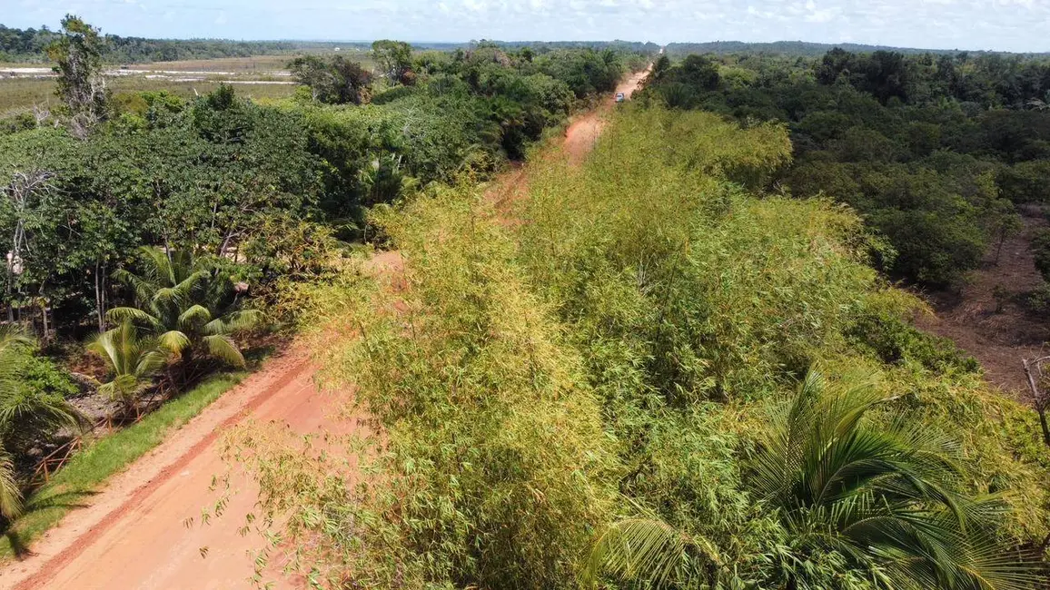 Foto 3 de Terreno / Lote à venda, 10000m2 em Marau - BA