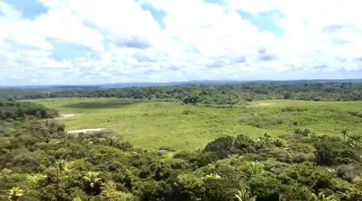 Foto 4 de Terreno / Lote à venda, 10000m2 em Marau - BA