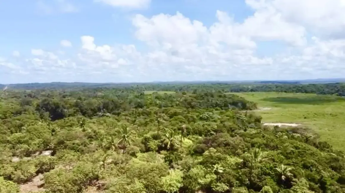 Foto 5 de Terreno / Lote à venda, 10000m2 em Marau - BA