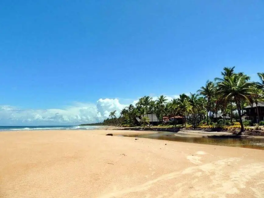 Foto 4 de Terreno / Lote à venda, 14800m2 em Marau - BA