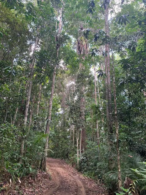 Foto 6 de Terreno / Lote à venda, 355500m2 em Urucuca - BA