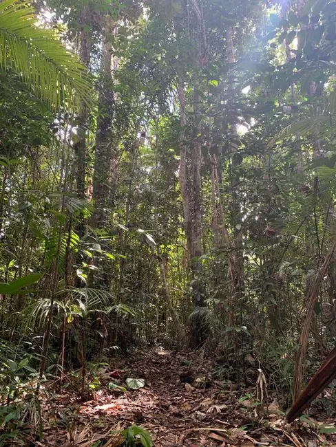 Foto 5 de Terreno / Lote à venda, 355500m2 em Urucuca - BA