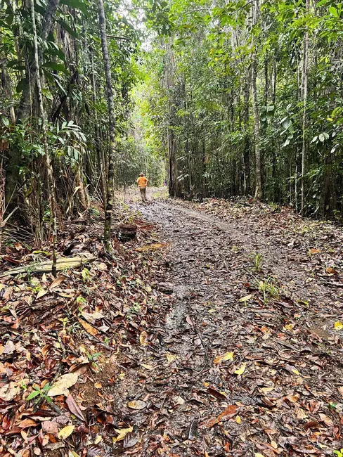 Foto 8 de Terreno / Lote à venda, 355500m2 em Urucuca - BA