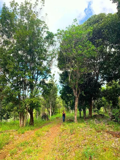 Foto 2 de Terreno / Lote à venda, 355500m2 em Urucuca - BA