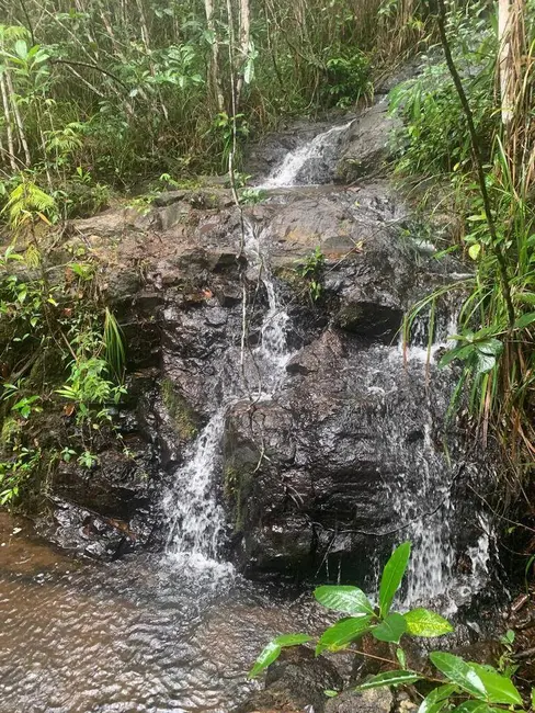 Foto 4 de Terreno / Lote à venda, 355500m2 em Urucuca - BA