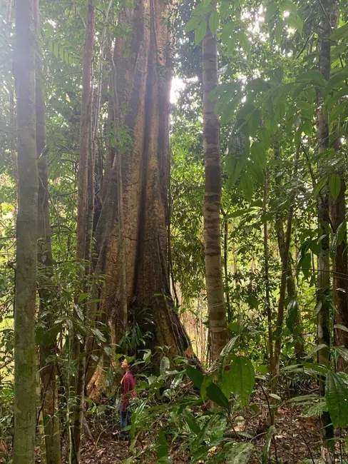 Foto 3 de Terreno / Lote à venda, 355500m2 em Urucuca - BA