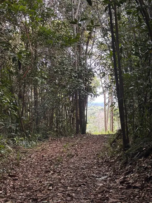 Foto 9 de Terreno / Lote à venda, 355500m2 em Urucuca - BA