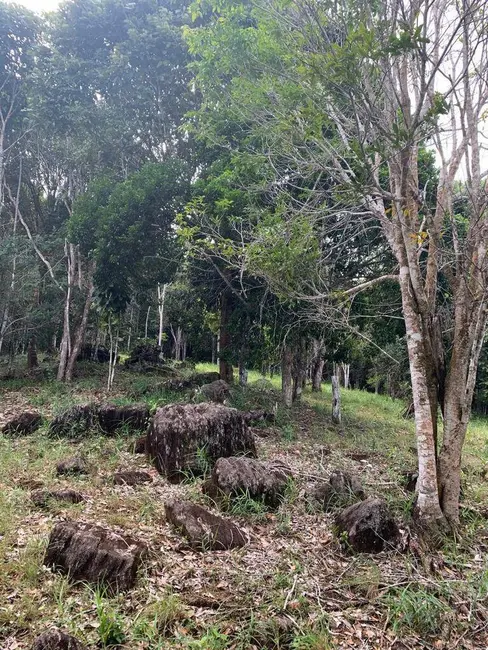Foto 7 de Terreno / Lote à venda, 355500m2 em Urucuca - BA