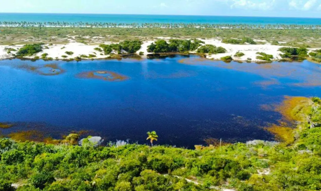 Terreno / Lote à venda, 1490640m2 em Mata De Sao Joao - BA - imagem 1 Foto 1 de Terreno / Lote à venda, 1490640m2 em Mata De Sao Joao - BA