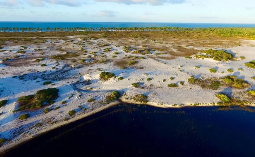 Terreno / Lote à venda, 1490640m2 em Mata De Sao Joao - BA - imagem 2 Foto 2 de Terreno / Lote à venda, 1490640m2 em Mata De Sao Joao - BA