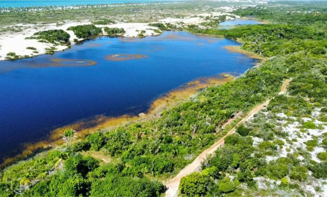 Terreno / Lote à venda, 1490640m2 em Mata De Sao Joao - BA - imagem 6 Foto 6 de Terreno / Lote à venda, 1490640m2 em Mata De Sao Joao - BA