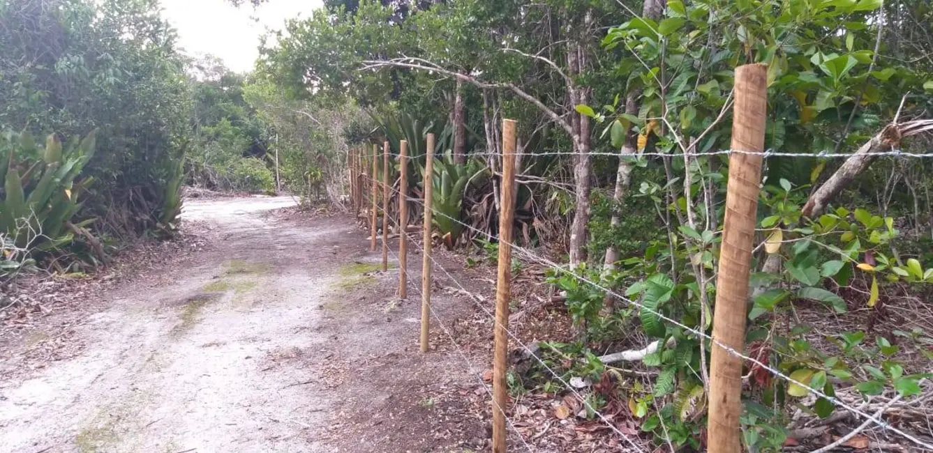 Foto 6 de Casa com 2 quartos à venda, 500m2 em Marau - BA