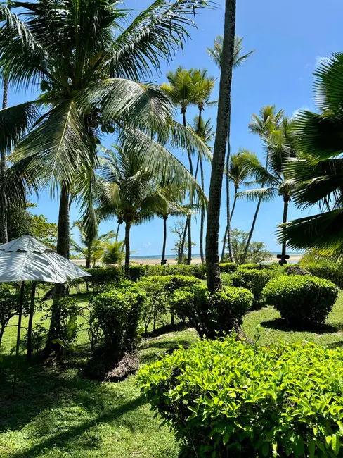 Foto 1 de Casa com 3 quartos à venda, 1800m2 em Cairu - BA