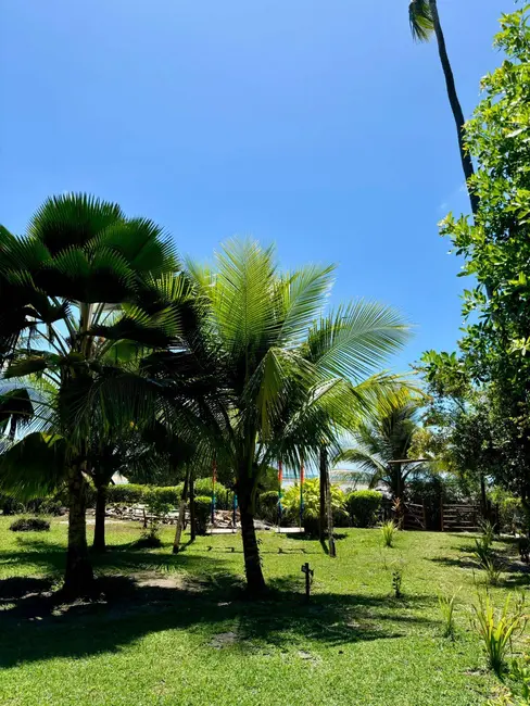 Foto 7 de Casa com 3 quartos à venda, 1800m2 em Cairu - BA