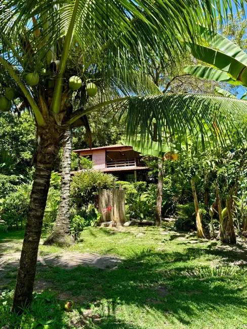 Foto 2 de Casa com 3 quartos à venda, 1800m2 em Cairu - BA