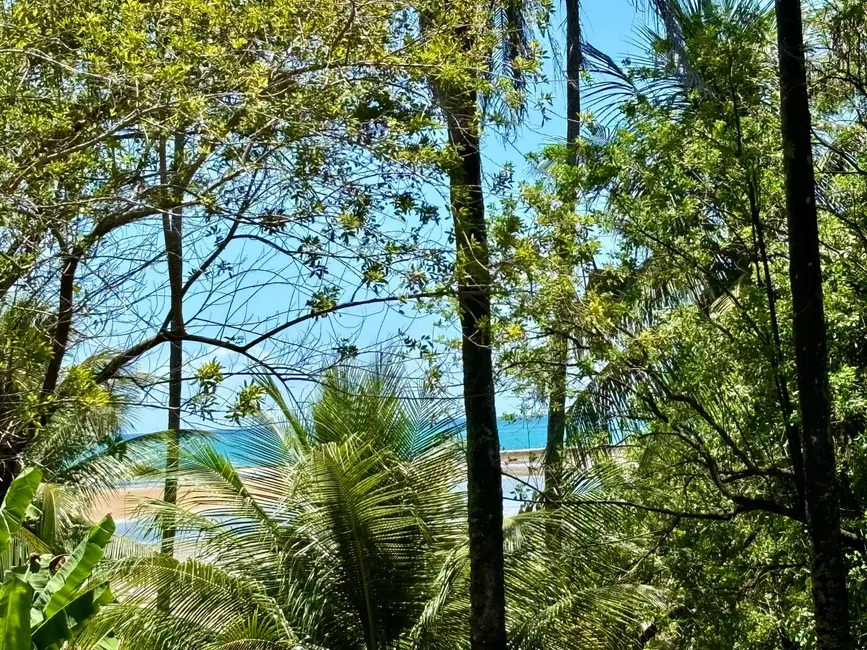 Foto 4 de Casa com 3 quartos à venda, 1800m2 em Cairu - BA