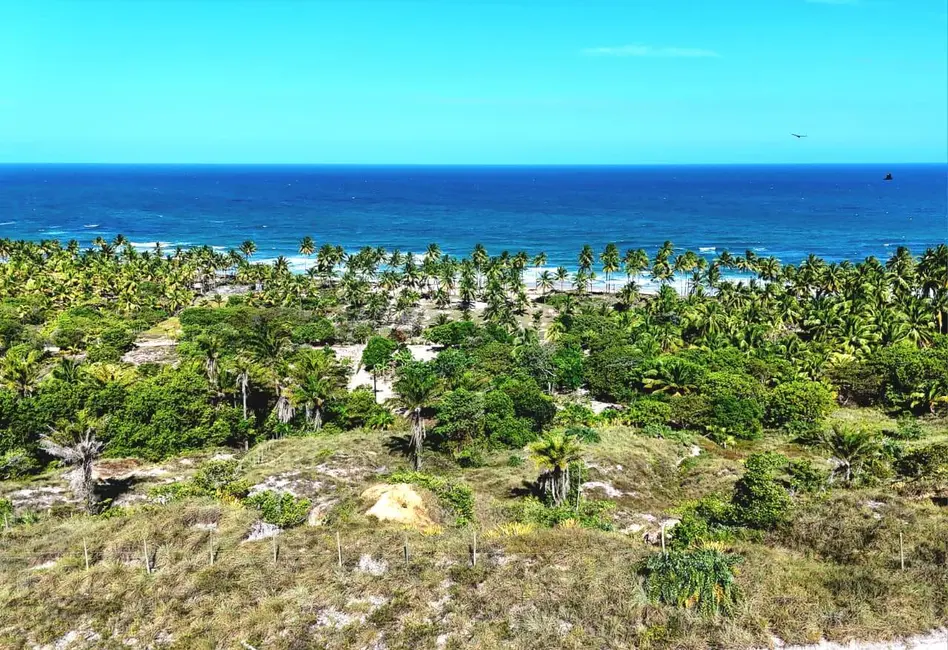 Foto 1 de Terreno / Lote à venda, 17000m2 em Marau - BA