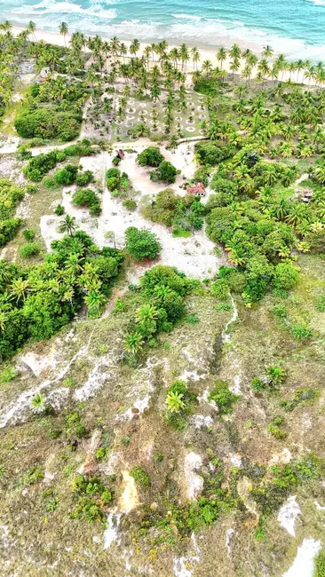 Foto 3 de Terreno / Lote à venda, 17000m2 em Marau - BA