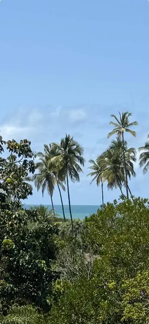 Foto 1 de Terreno / Lote à venda, 2360m2 em Marau - BA