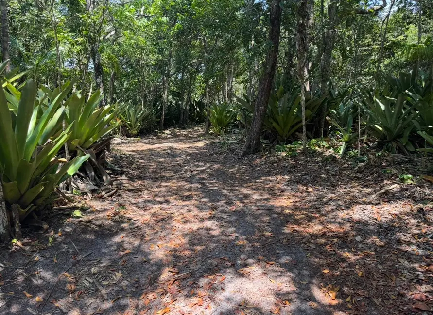 Foto 8 de Terreno / Lote à venda, 2360m2 em Marau - BA