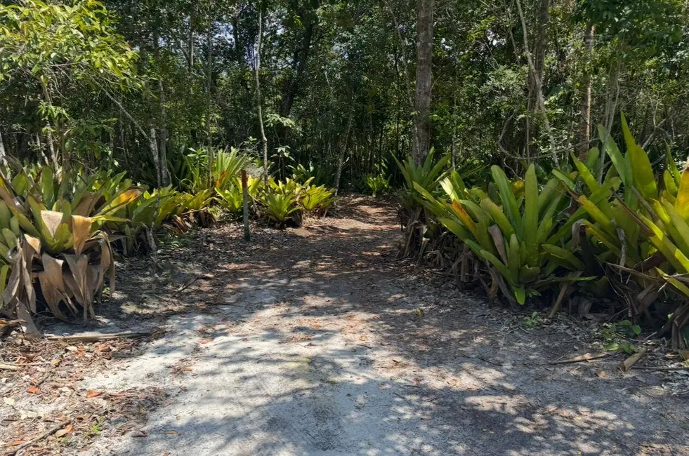 Foto 7 de Terreno / Lote à venda, 2360m2 em Marau - BA