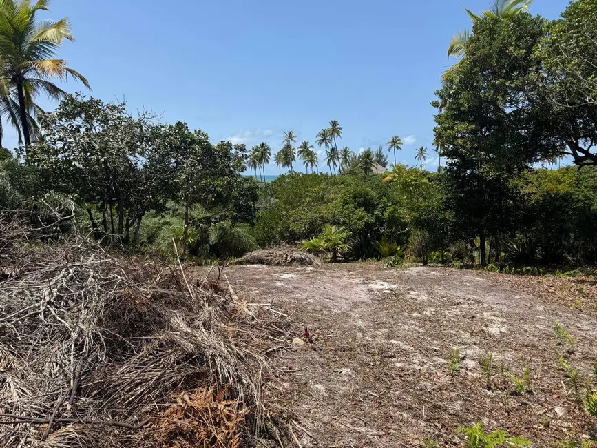 Foto 3 de Terreno / Lote à venda, 2360m2 em Marau - BA