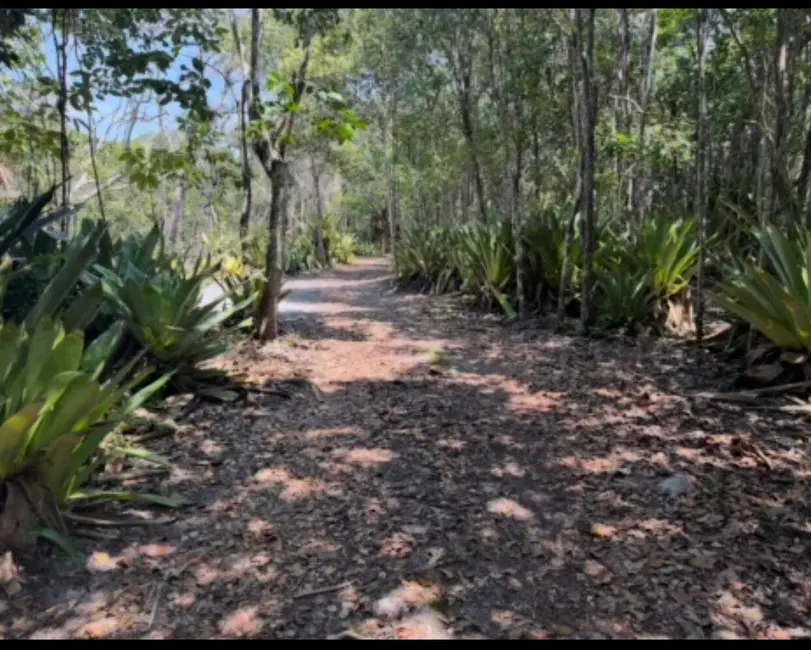 Foto 5 de Terreno / Lote à venda, 2360m2 em Marau - BA