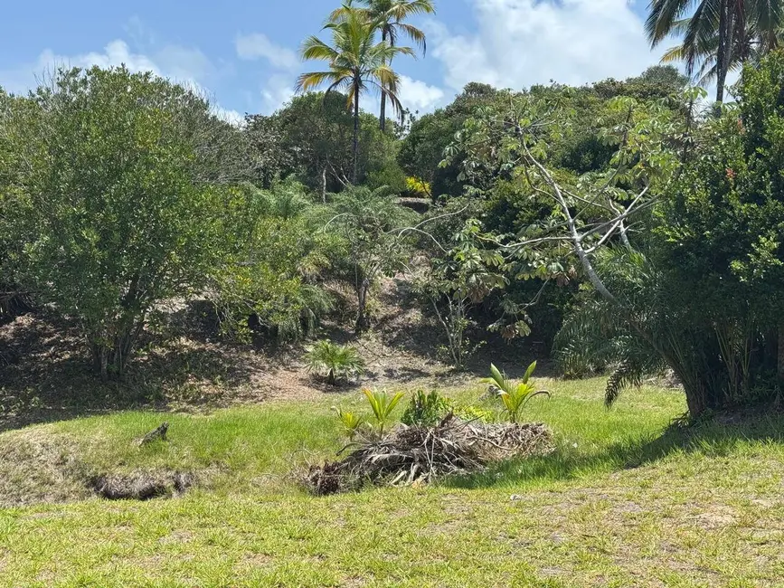 Foto 6 de Terreno / Lote à venda, 2360m2 em Marau - BA