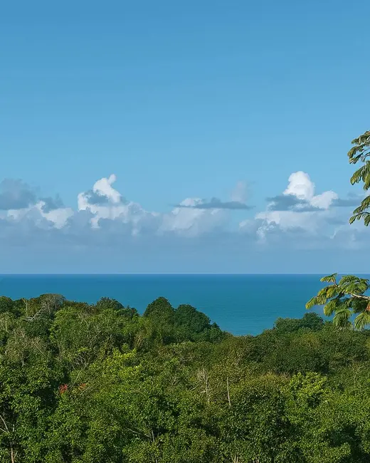 Foto 5 de Terreno / Lote à venda, 500m2 em Urucuca - BA