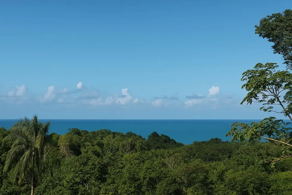 Foto 1 de Terreno / Lote à venda, 500m2 em Urucuca - BA