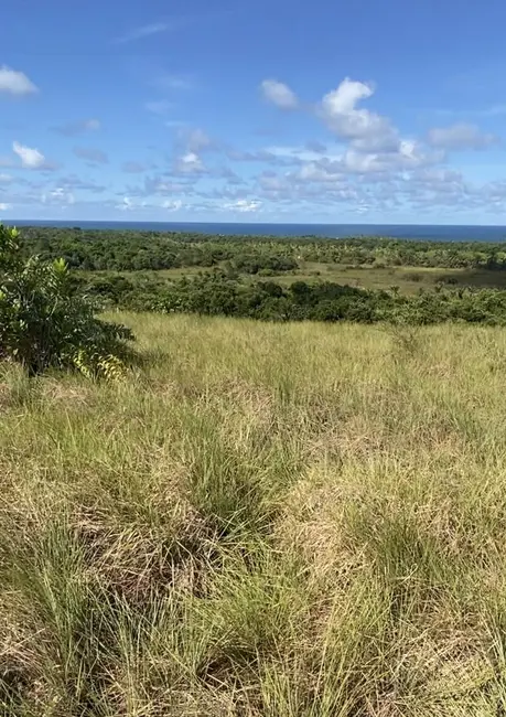 Foto 7 de Terreno / Lote à venda em Marau - BA