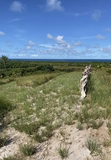 Foto 4 de Terreno / Lote à venda em Marau - BA