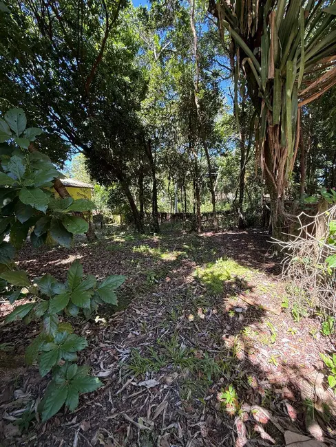 Foto 2 de Terreno / Lote à venda, 300m2 em Marau - BA