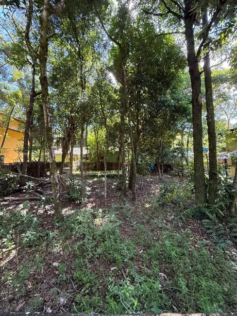 Foto 3 de Terreno / Lote à venda, 300m2 em Marau - BA