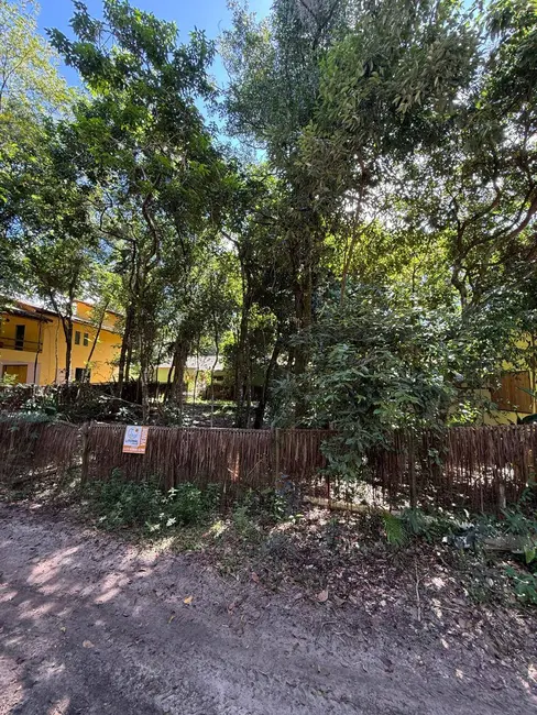 Foto 6 de Terreno / Lote à venda, 300m2 em Marau - BA