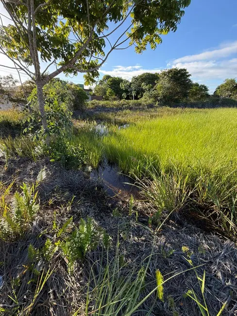 Foto 2 de Terreno / Lote à venda, 300m2 em Marau - BA