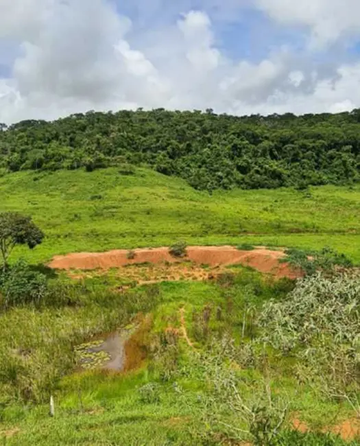 Foto 9 de Fazenda / Haras à venda, 63m2 em Rio Casca - MG