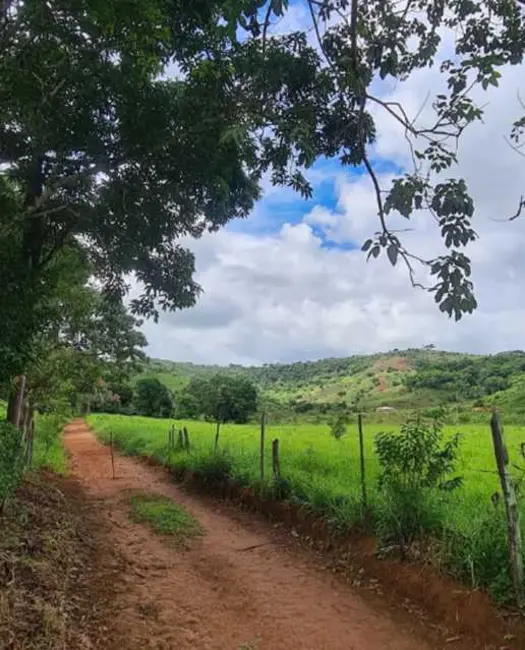 Foto 7 de Fazenda / Haras à venda, 63m2 em Rio Casca - MG