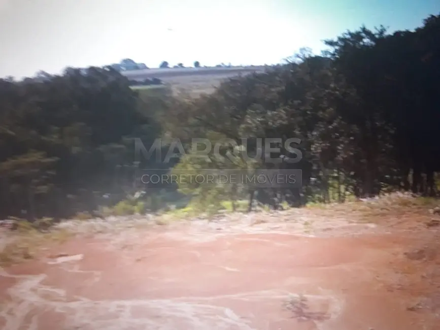Foto 5 de Terreno / Lote à venda, 4934m2 em Artur Nogueira - SP