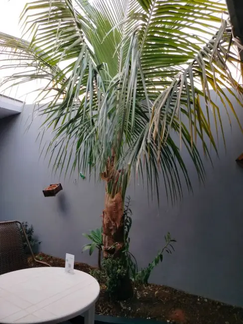 Casa com 2 quartos à venda, 43m2 em Jardim Roberto Selmi Dei, Araraquara - SP - imagem 5 Foto 5 de Casa com 2 quartos à venda, 43m2 em Jardim Roberto Selmi Dei, Araraquara - SP