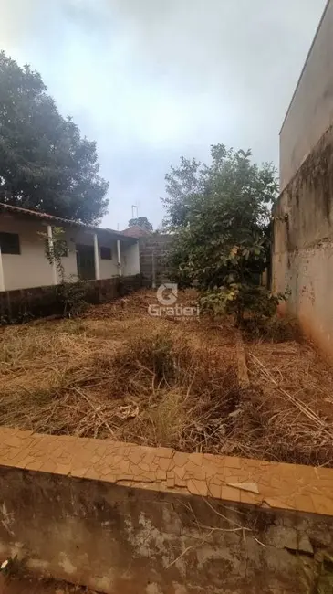 Casa com 3 quartos à venda, 205m2 em Centro, Araraquara - SP - imagem 4 Foto 4 de Casa com 3 quartos à venda, 205m2 em Centro, Araraquara - SP