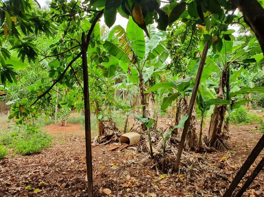 Terreno / Lote à venda, 1827m2 em Vila Vieira (Vila Xavier), Araraquara - SP - imagem 5 Foto 5 de Terreno / Lote à venda, 1827m2 em Vila Vieira (Vila Xavier), Araraquara - SP