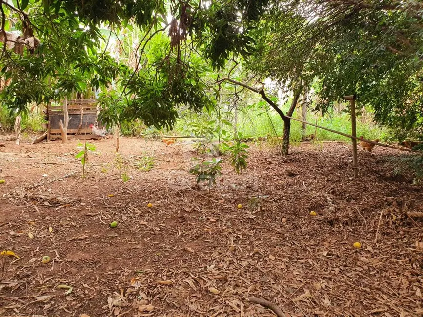 Terreno / Lote à venda, 1827m2 em Vila Vieira (Vila Xavier), Araraquara - SP - imagem 7 Foto 7 de Terreno / Lote à venda, 1827m2 em Vila Vieira (Vila Xavier), Araraquara - SP