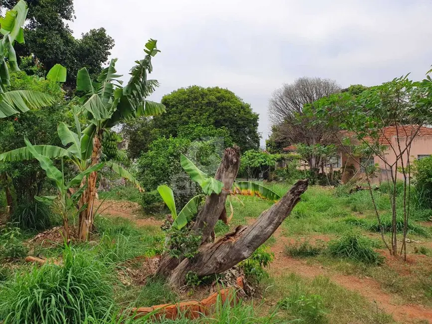 Terreno / Lote à venda, 1827m2 em Vila Vieira (Vila Xavier), Araraquara - SP - imagem 9 Foto 9 de Terreno / Lote à venda, 1827m2 em Vila Vieira (Vila Xavier), Araraquara - SP