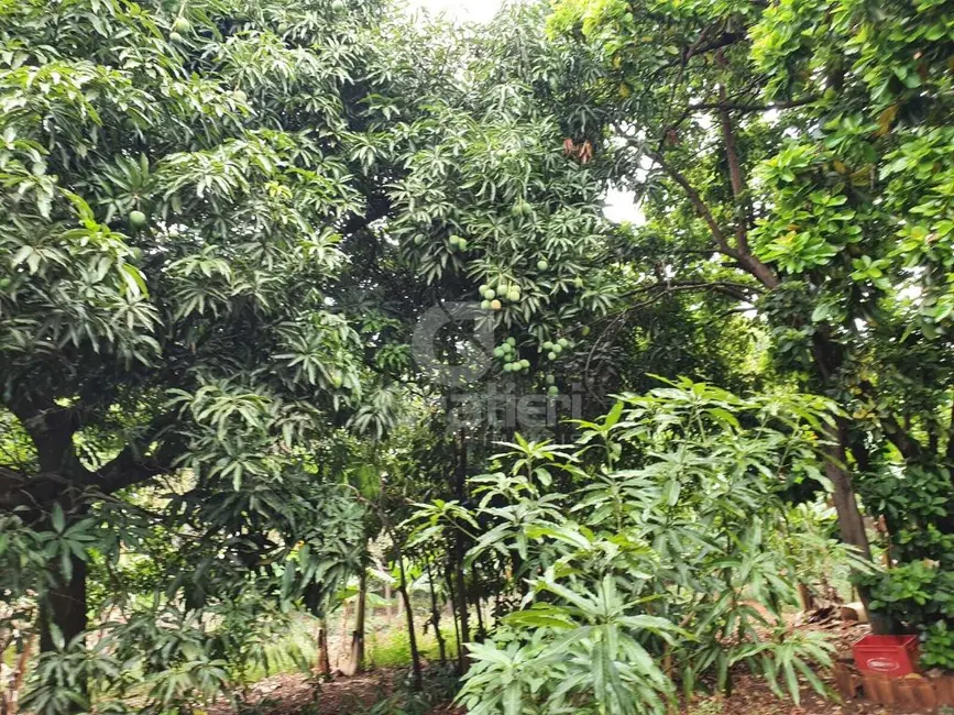 Terreno / Lote à venda, 1827m2 em Vila Vieira (Vila Xavier), Araraquara - SP - imagem 4 Foto 4 de Terreno / Lote à venda, 1827m2 em Vila Vieira (Vila Xavier), Araraquara - SP