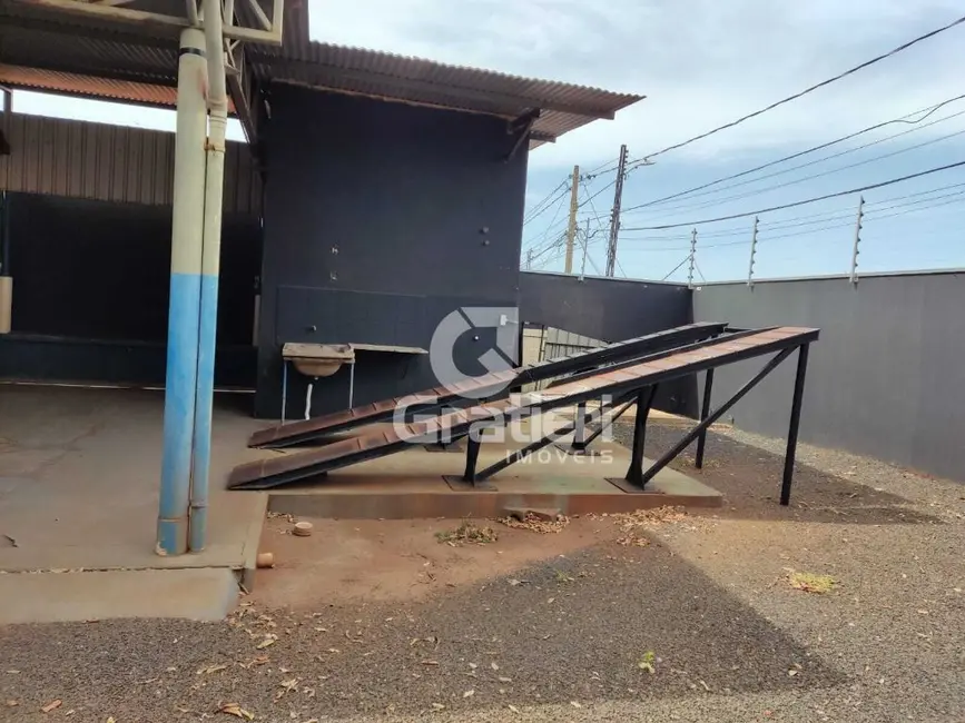 Armazém / Galpão para alugar, 117m2 em Araraquara - SP - imagem 4 Foto 4 de Armazém / Galpão para alugar, 117m2 em Araraquara - SP