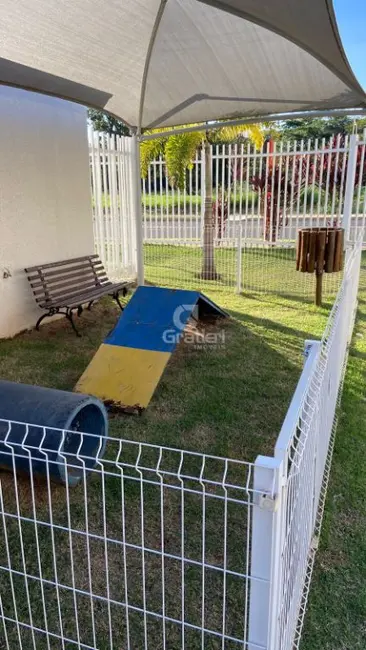 Foto 4 de Apartamento com 2 quartos para alugar, 50m2 em Jardim Marivan, Araraquara - SP