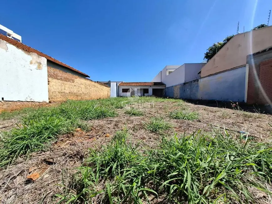 Terreno / Lote à venda, 420m2 em Vila Velosa, Araraquara - SP - imagem 6 Foto 6 de Terreno / Lote à venda, 420m2 em Vila Velosa, Araraquara - SP